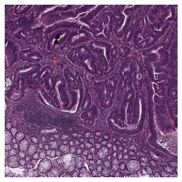 ../../_images/96fd7e685f13afddf92210d0ba9916c5947e2cfa0c00410dcd936a335a50da8c.png