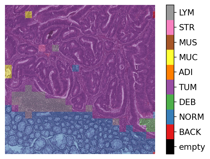 ../_images/_notebooks_05-patch-prediction_32_1.png