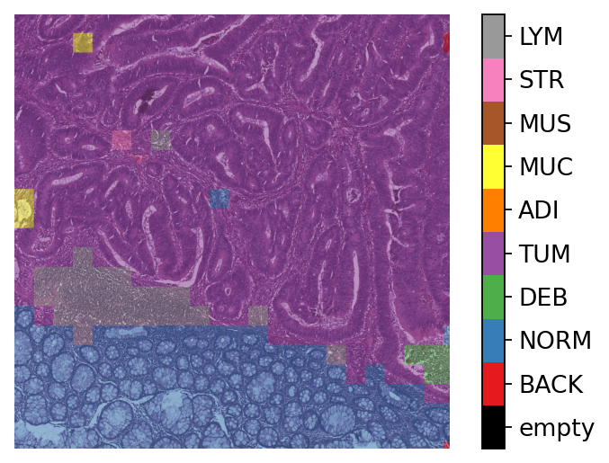 ../_images/_notebooks_05-patch-prediction_32_1.png