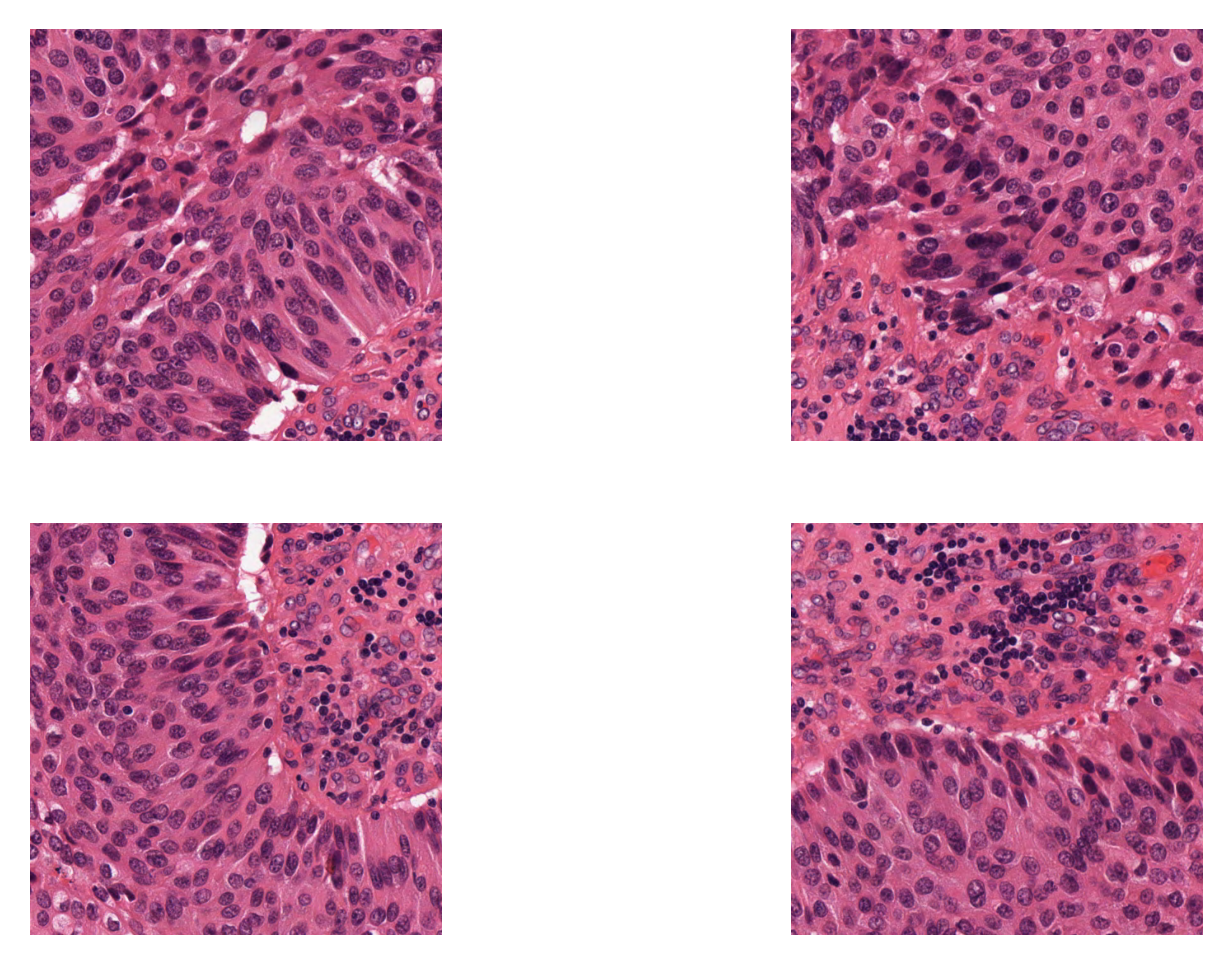 ../../_images/d58c291e57485a7c0116550eecb7d66e23aa23e6835d6218db1724f4bc191f6d.png