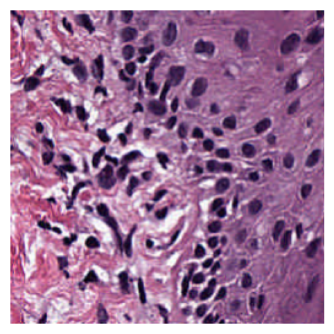 ../../_images/14810214a07c0b2ebe01d50353d5a8a1c5f6fd91c2303840e953bc05e3049f4b.png