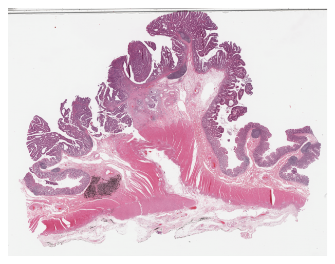 ../../_images/bfe4ce24ba4b210cdb5e61121b189518d571dc4f17c01c62231c77124e12a205.png