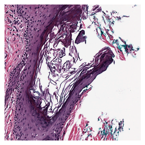 ../../_images/cbc659eb1b4cc55714cbceaab5c9ddf9b152e5273362152145ebe9db5bb35f4b.png