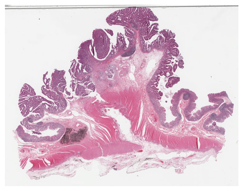 ../../_images/ecce5a905cbd5a75457cb5b282d4ff729c71399791975ac5420bd525f38098f9.png