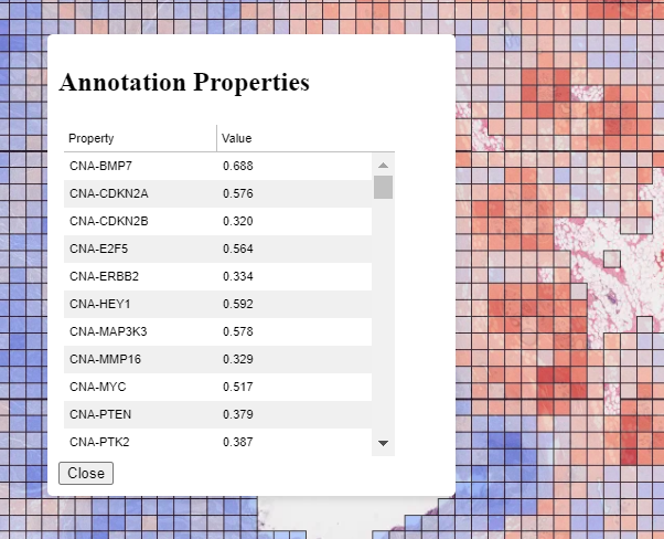 Visualization Interface Usage - TIA Toolbox 2.0.0 Documentation