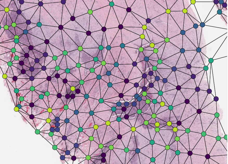 Visualization Interface Usage - TIA Toolbox 2.0.0 Documentation