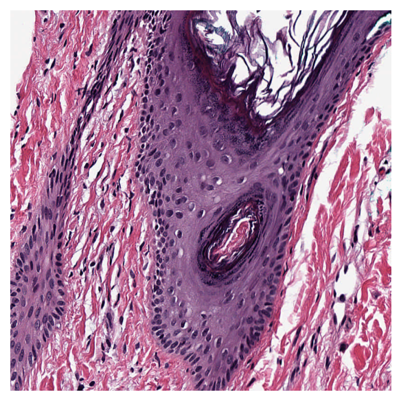 ../../_images/44c69d56a857f498a1b4f8ee71be547312e844e1fd37f802460f47c79b610fb7.png